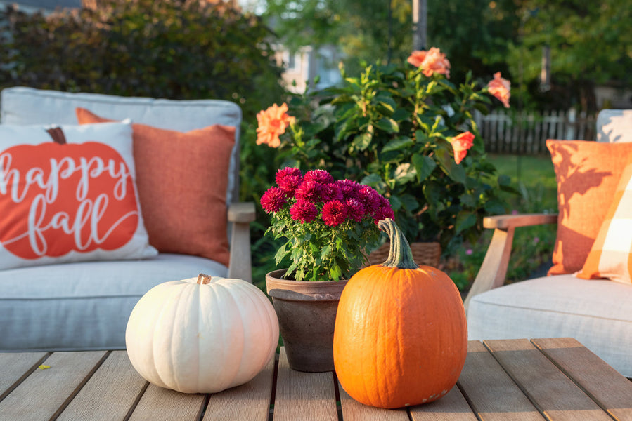 Transform Your Patio for Cozy Fall Evenings